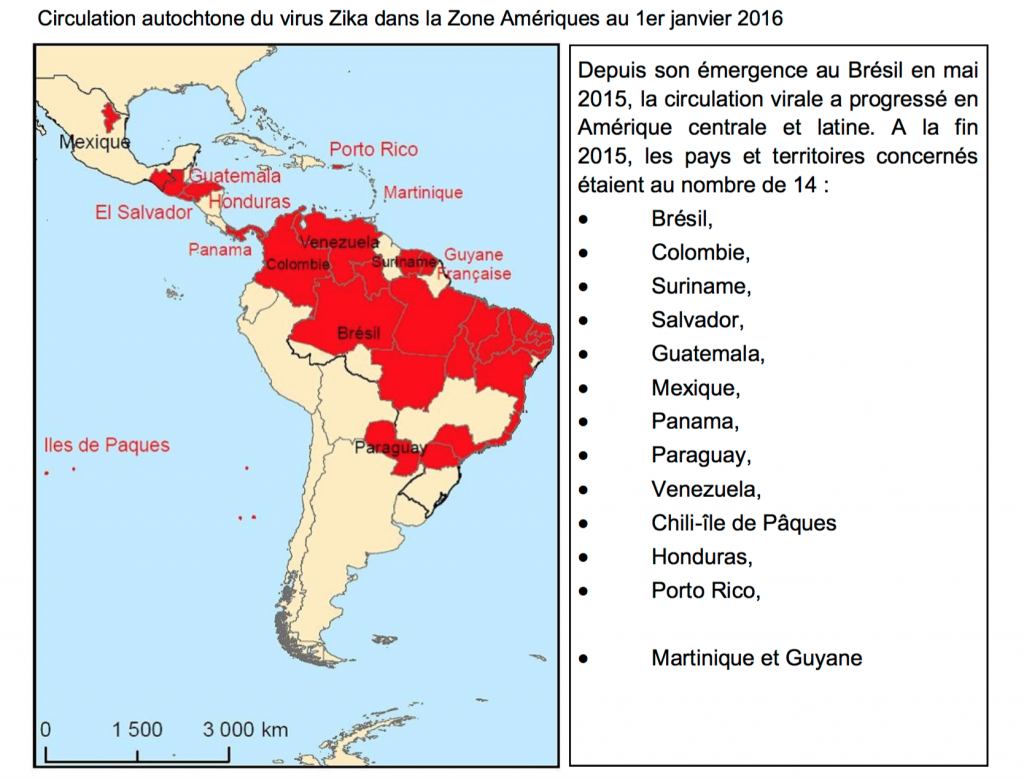 Situation épidémiologique dans la Zone Amériques © ARS Martinique