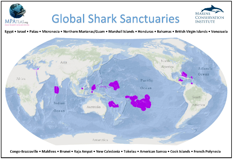 Le sanctuaire de requins de la Polynésie française, créé en 2012, est le plus vaste au Monde