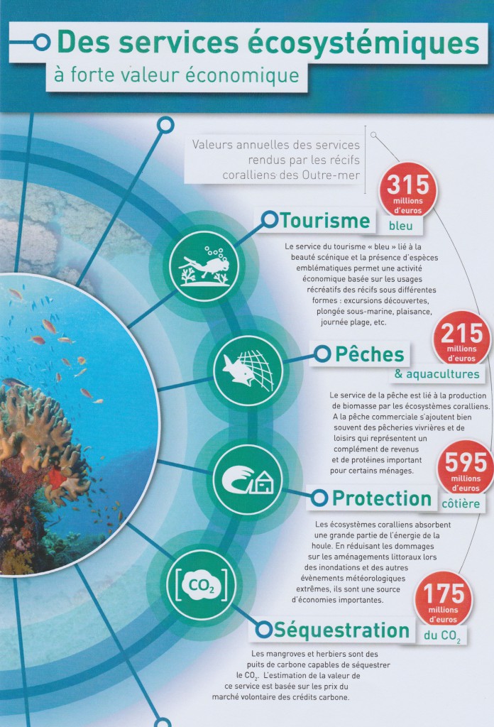 Les différents services rendus par les coraux et leur dimension économique © IFRECOR
