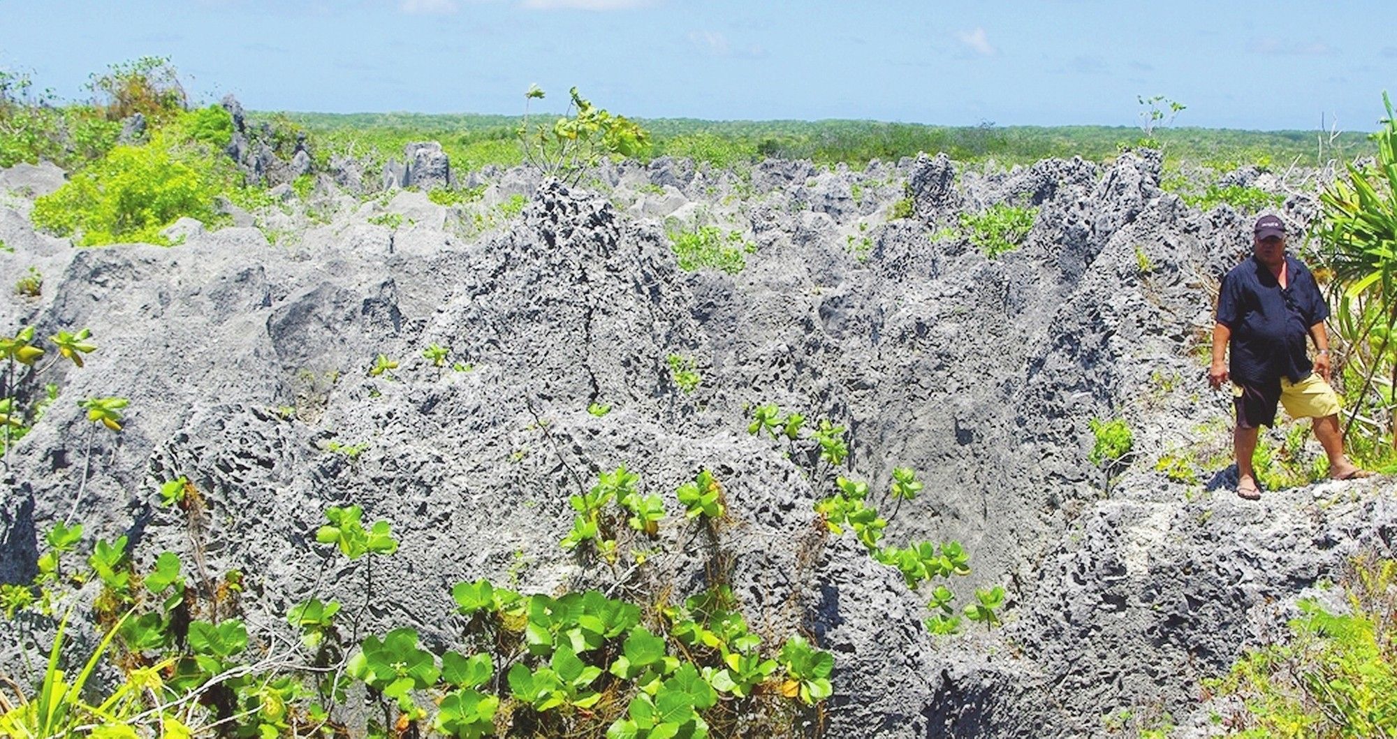 Vestiges de l'exploitation de phosphate sur Makatea ©Sandrine Lecomte / La Dépêche de Tahiti