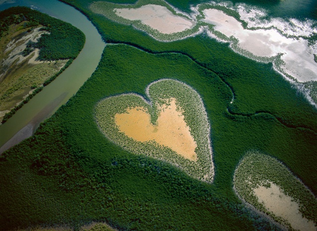 Une des mangroves les plus connues au monde:le coeur de Voh en Nouvelle-Calédonie ©Yann Arthus Bertrand