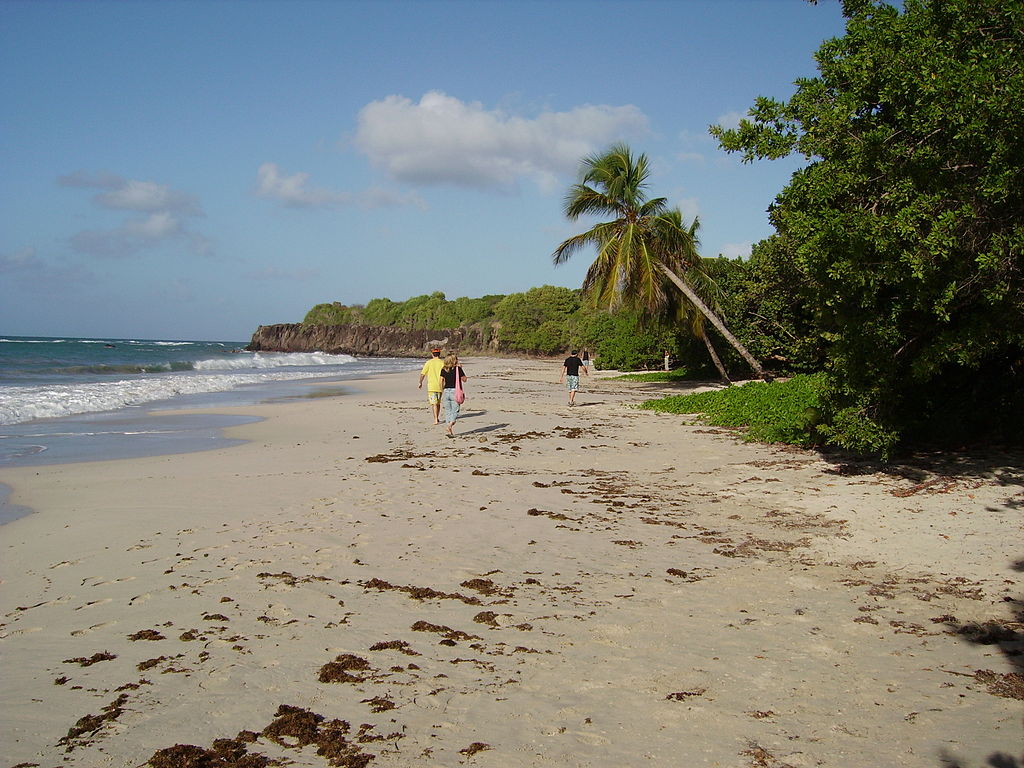 Les Salines en Martinique ©Wikicommons