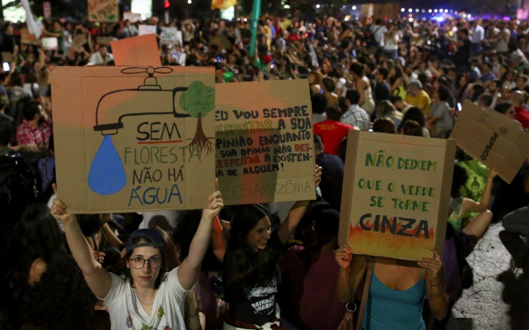 Manifestation pour exiger que le gouvernement brésilien agisse contre les feux de forêt en Amazonie, le 23 août 2019 à Brazilia ©Sergio Lima 