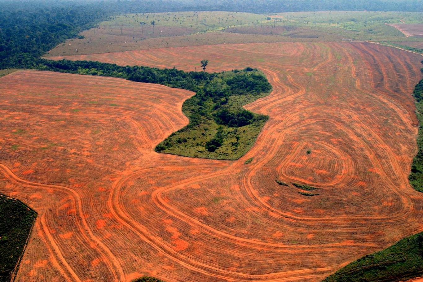 Déforestation en Amazonie ©Alberto Cesar / Greenpeace 