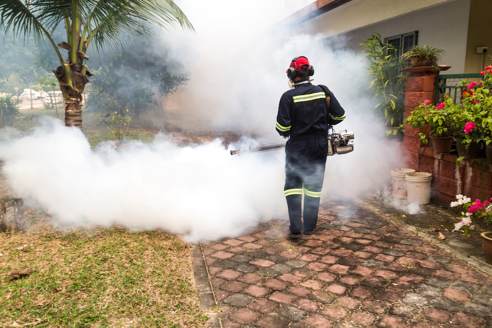 Une campagne de pulvérisation anti-moustique en Polynésie française ©Shutterstock