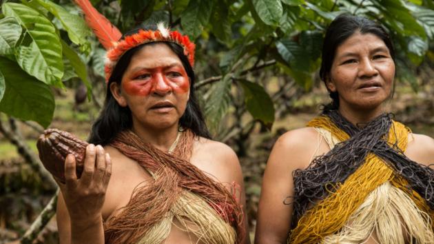Biodiversité : Les indiens d&rsquo;Amazonie modifient leurs habitudes pour préserver la nature