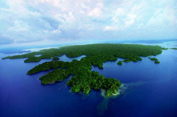 Canal de Panama : Une île artificielle laboratoire de la Biodiversité