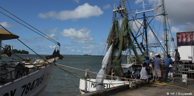 Réforme du code minier : La pêche guyanaise préservée