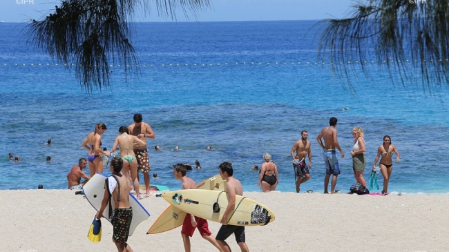 Crise des requins : A La Réunion, Boucan Canot en direct !