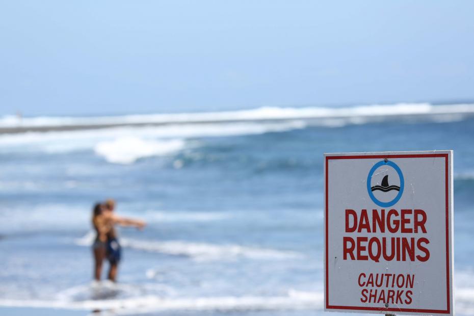 Attaque de requin à la Réunion: le pronostic vital du surfeur reste très engagé