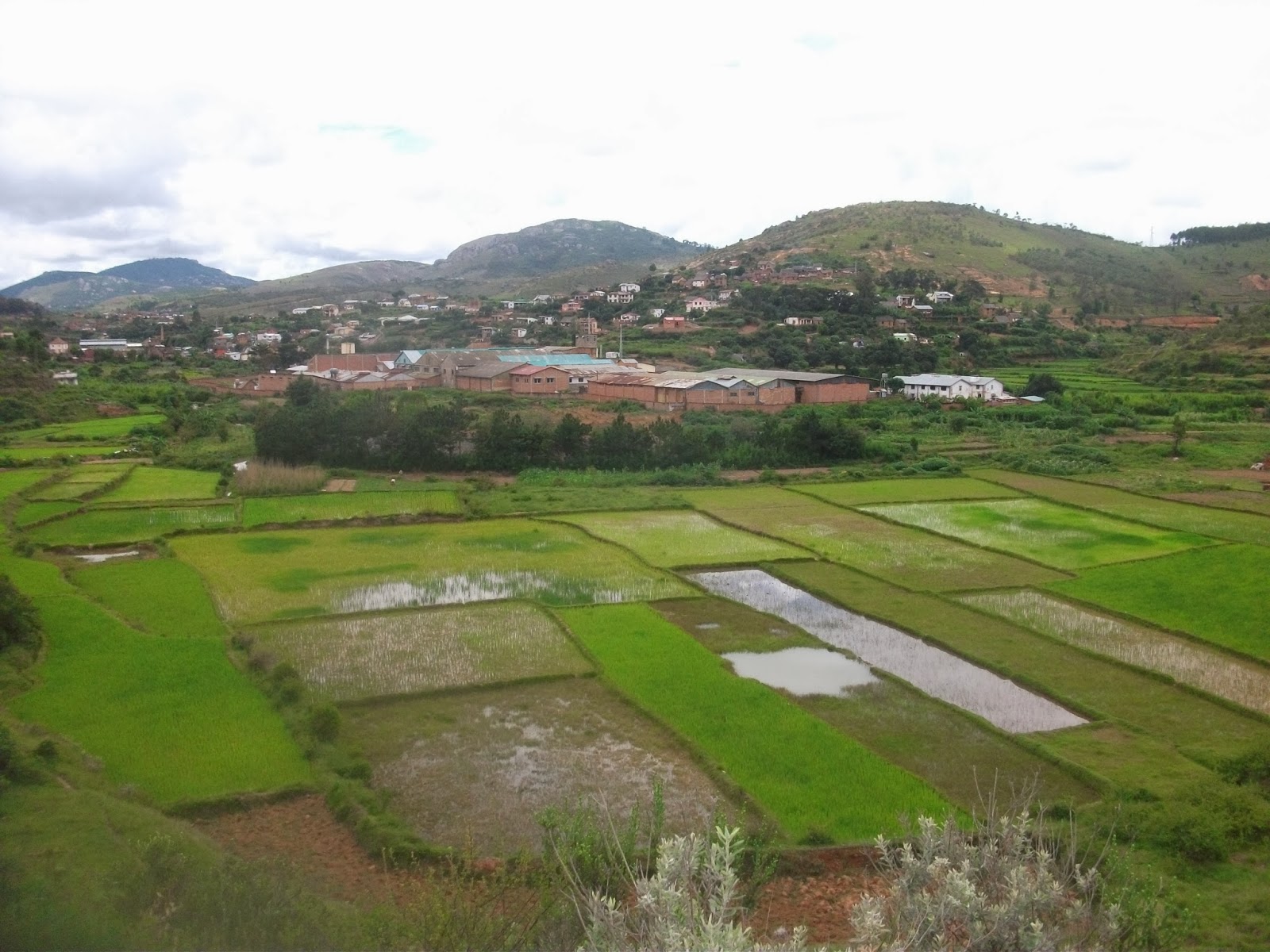 Madagascar : 2 millions d&rsquo;hectares de terrains de colons réunionnais et français bientôt cédés aux paysans
