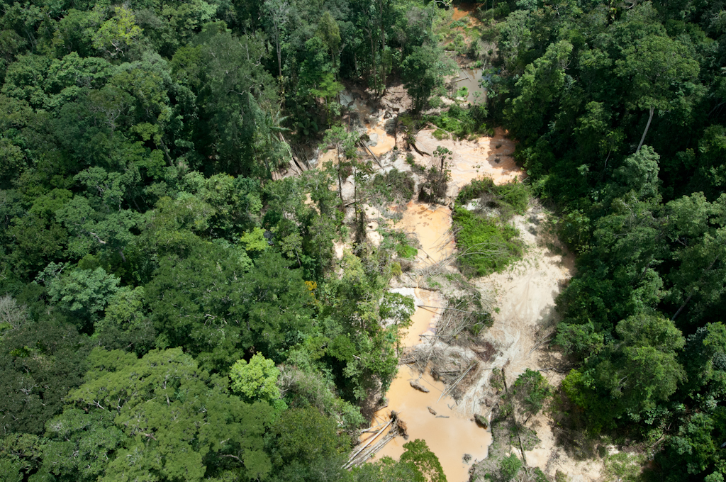 La déforestation due à l&rsquo;orpaillage s&rsquo;est accélérée sur le Plateau des Guyanes