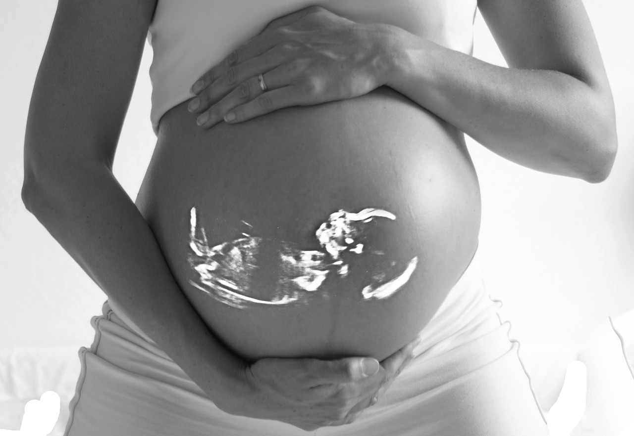 Zika : Marisol Touraine annonce la prise en charge totale des échographies des femmes enceintes