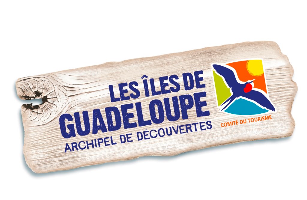 Tourisme : Le Comité de tourisme des Îles de Guadeloupe a un nouveau président