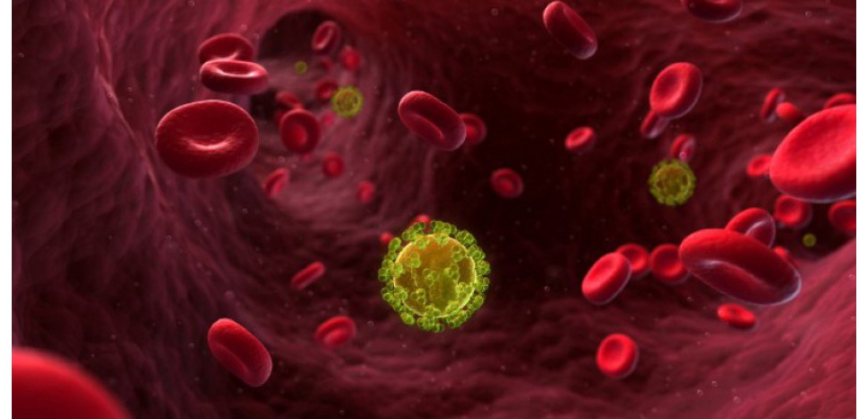Lutte contre le Sida : Des anticorps capables de détruire les cellules infectées