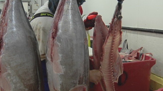Economie: La production de la pêche polynésienne s’impose sur le marché mondial de l’exportation