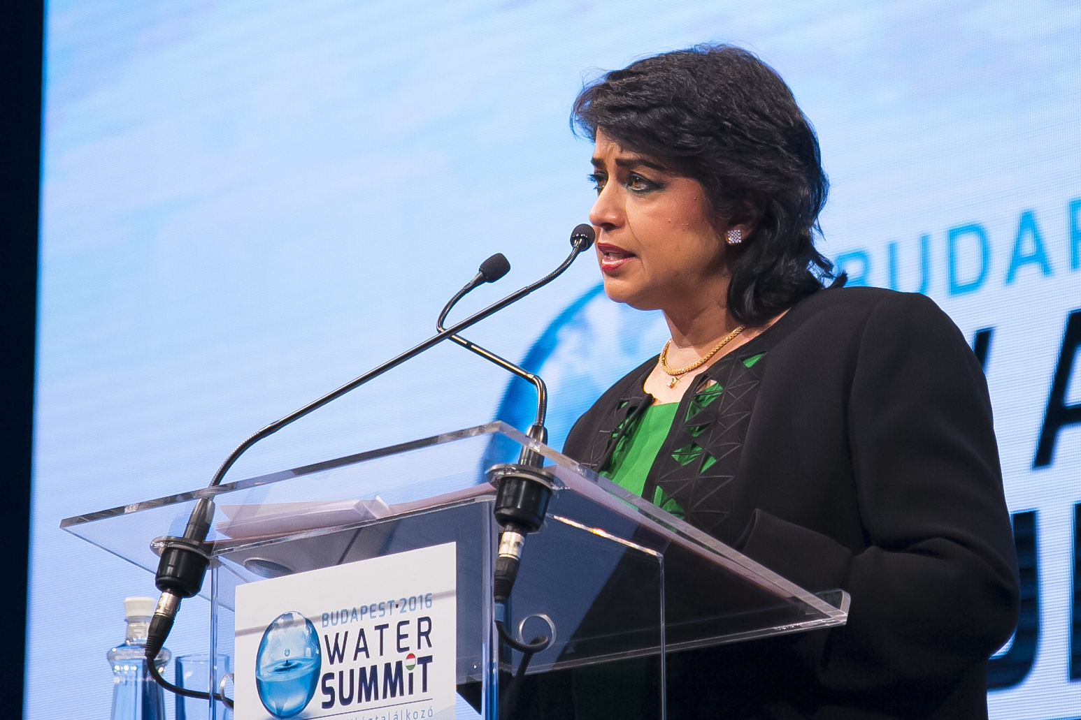 Sommet de l&rsquo;eau à Budapest: La Présidente de l&rsquo;île Maurice Ameenah Gurib-Fakim défend la cause des îles