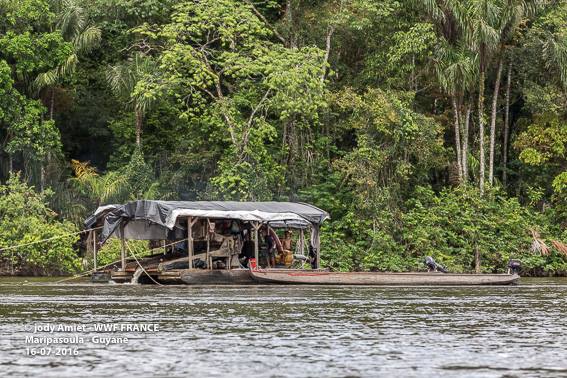 Orpaillage en Guyane: Les sites illégaux toujours plus nombreux dans le Parc Amazonien de Guyane