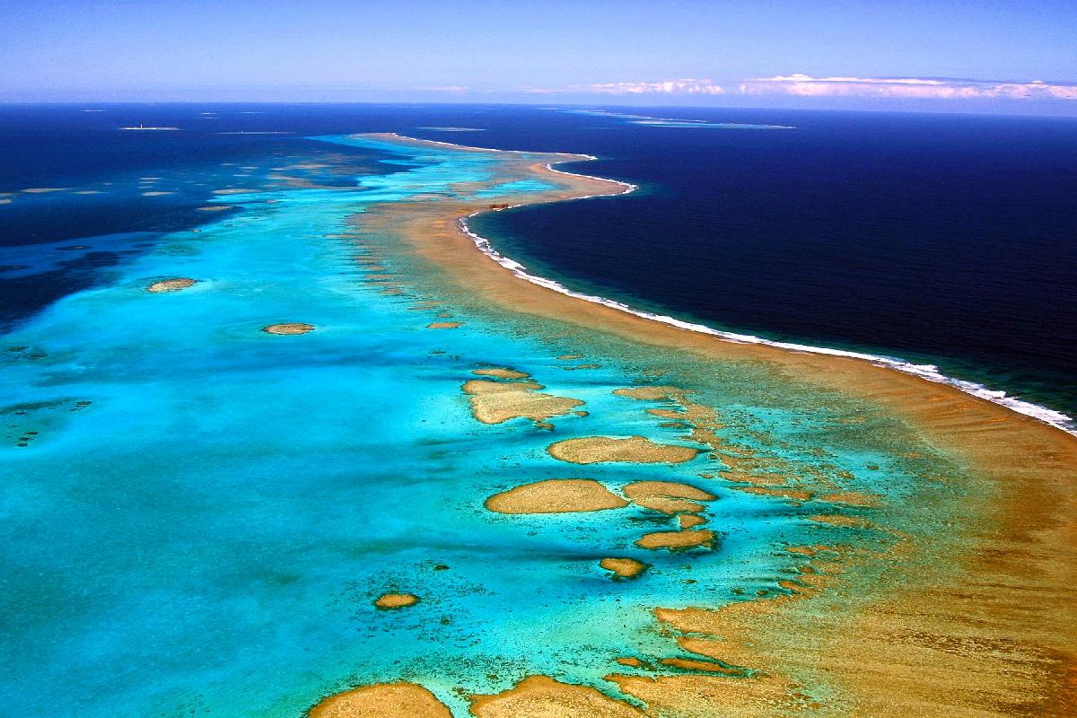 Nouvelle-Calédonie: Touchés par un phénomène de blanchiment l’an dernier, la plupart des coraux ont récupéré