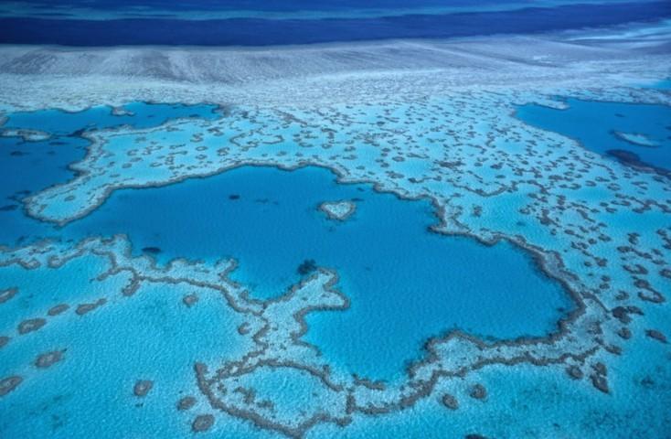 Biodiversité: Les hydrocarbures, sujet sensible du parc de la mer de Corail en Nouvelle-Calédonie