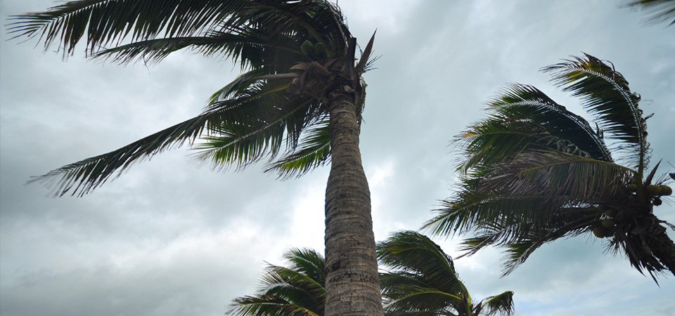 Les Caraïbes en état d’alerte avant l’arrivée de l’ouragan Maria, la Guadeloupe en alerte rouge