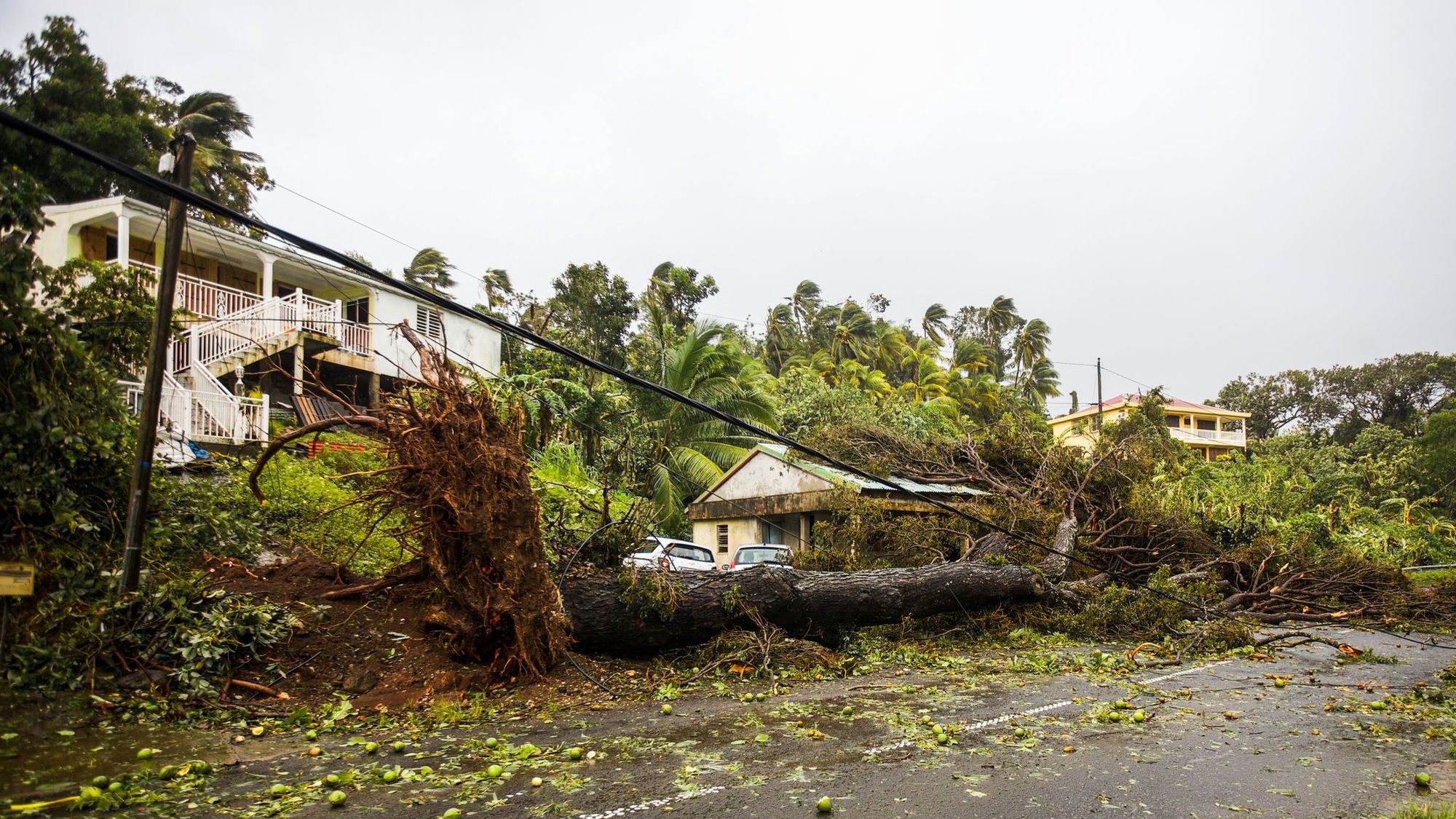 Ouragan Maria: délai réduit pour toucher le fonds de compensation de la TVA