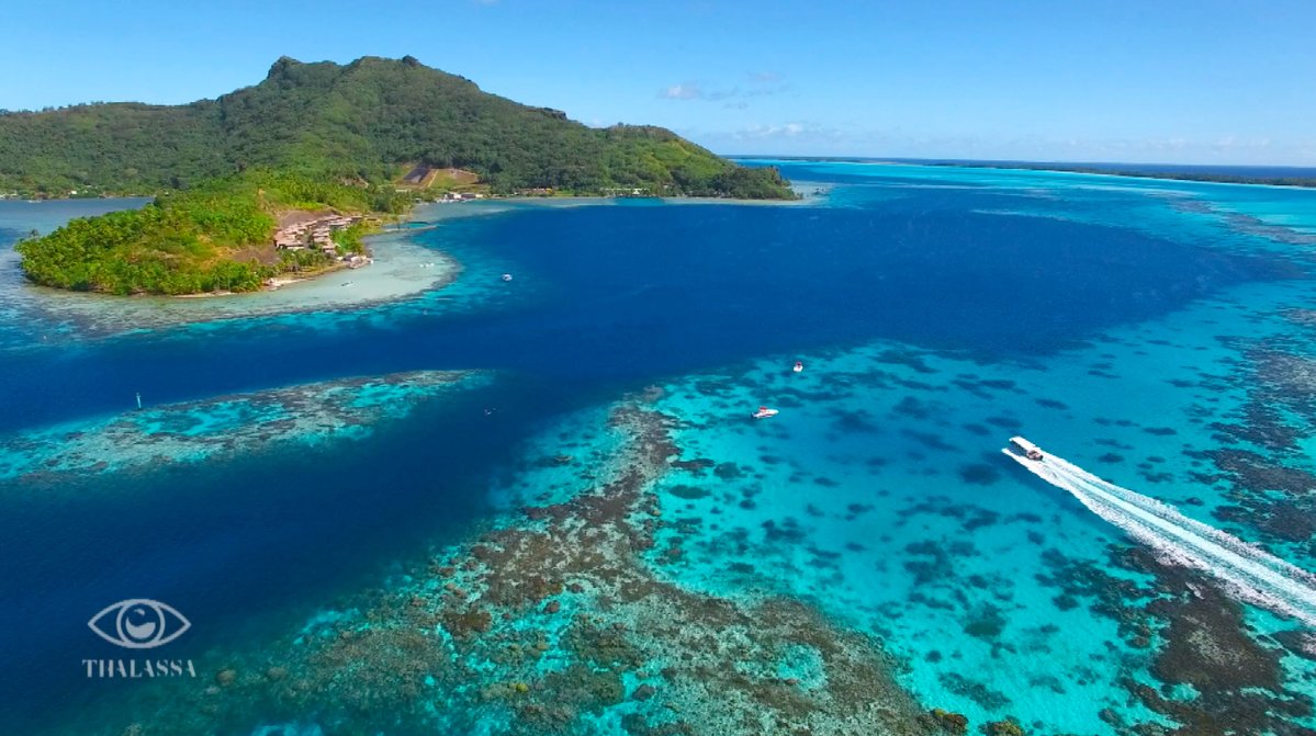 Consacré à la Polynésie, le magazine Thalassa rassemble 1,6 million de téléspectateurs