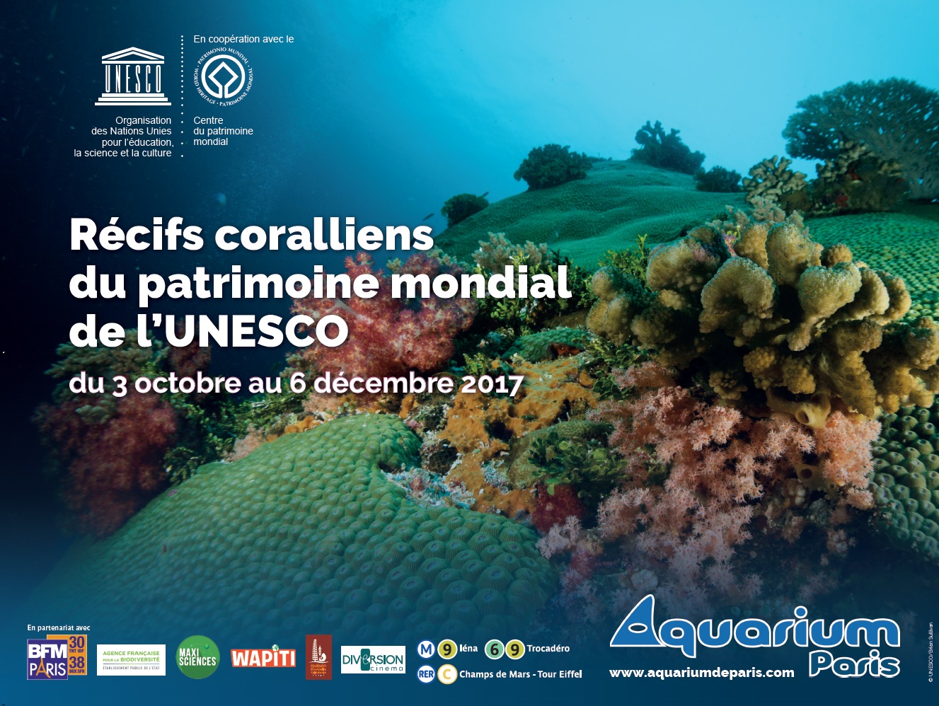 Exposition : Les récifs coralliens investissent l’Aquarium de Paris