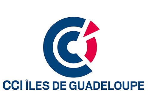 CCI Îles de Guadeloupe: Patrick Vial-Collet devient le nouveau président
