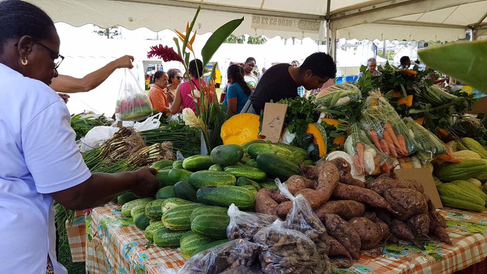 Pollution au Chlordécone aux Antilles: Une association attaque les limites autorisées de chlordécone dans les aliments