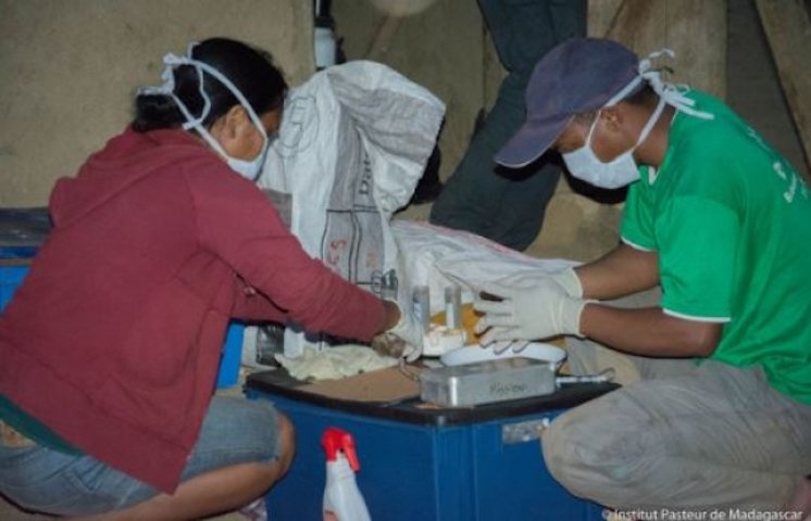 Madagascar: L&rsquo;OMS craint une expansion de la peste dans la région
