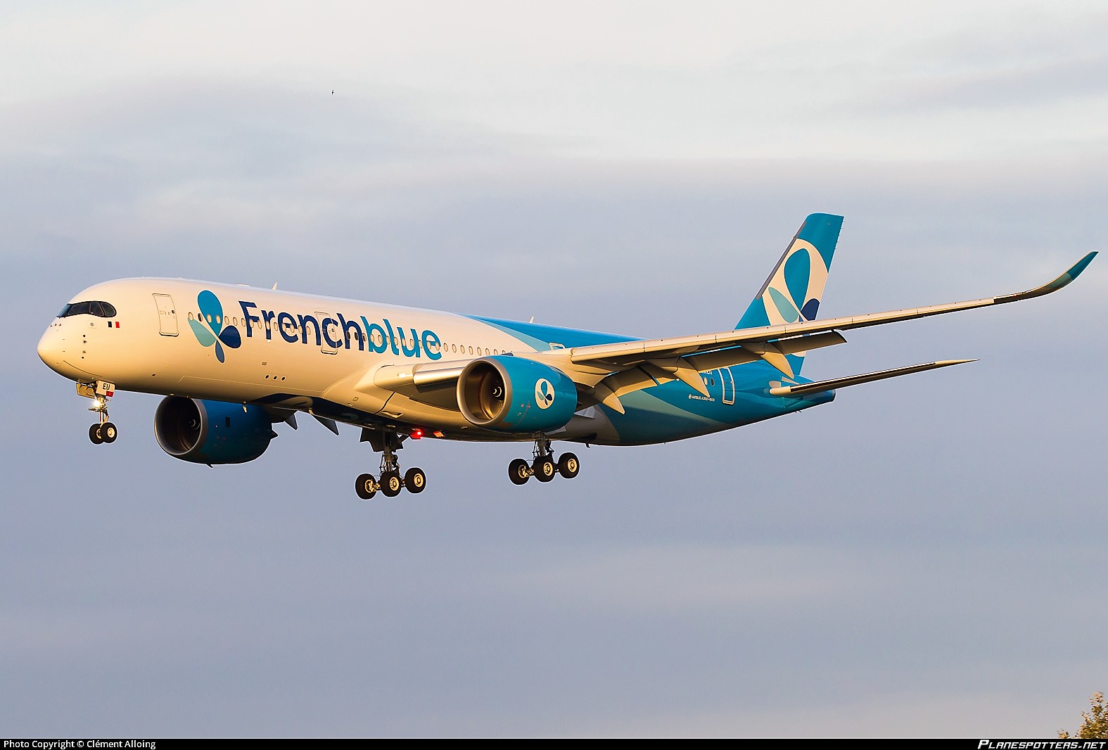 Desserte aérienne : French Blue confirme son arrivée sur la Polynésie