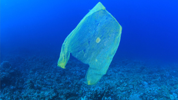 Environnement : La Polynésie veut interdire les sacs en plastique pour mars 2018