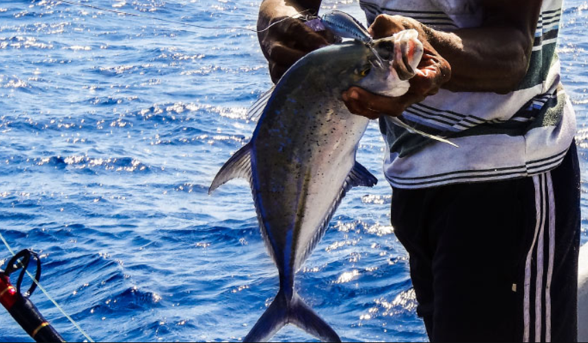 Comores : La pêche artisanale au centre d’une formation de la Commission de l’Océan Indien