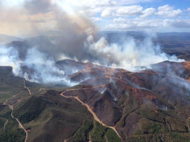 Incendies en Nouvelle-Calédonie : 800 hectares ravagés, 47 personnes évacuées au Mont-Dore