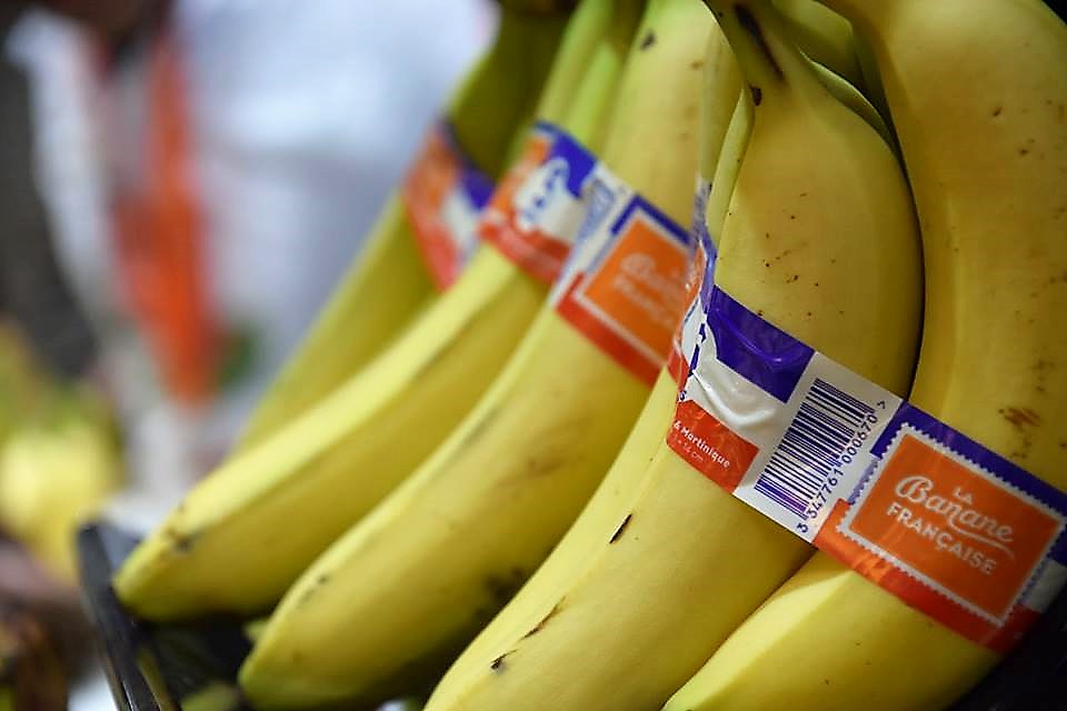 Salon international de l’Agriculture : Les producteurs antillais lancent une &laquo;&nbsp;banane équitable&nbsp;&raquo;