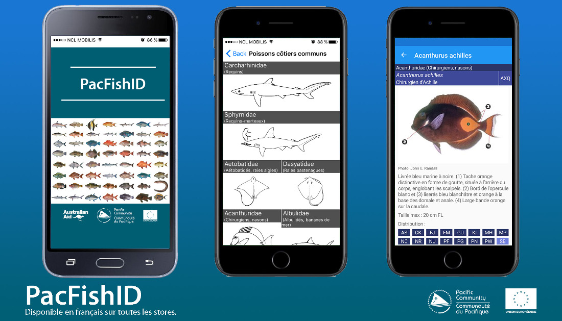La Communauté du Pacifique Sud (CPS) lance la version française de son application mobile PacFishID permettant notamment d&rsquo;identifier les poissons comestibles du Pacifique