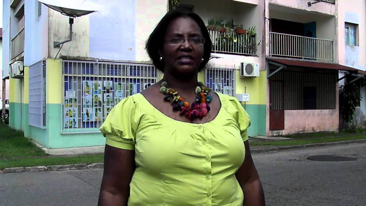 Législatives partielles en Guyane : La candidate Mylène Mazia se retire en raison d’un deuil