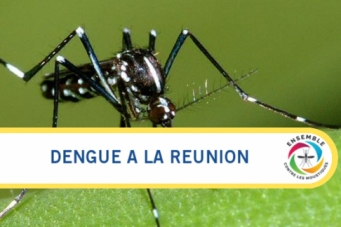 Dengue à La Réunion: Des agents supplémentaires pour lutter contre la propagation du virus