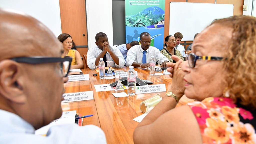 Guadeloupe: Le plan d&rsquo;action des collectivités locales pour lutter contre les sargasses