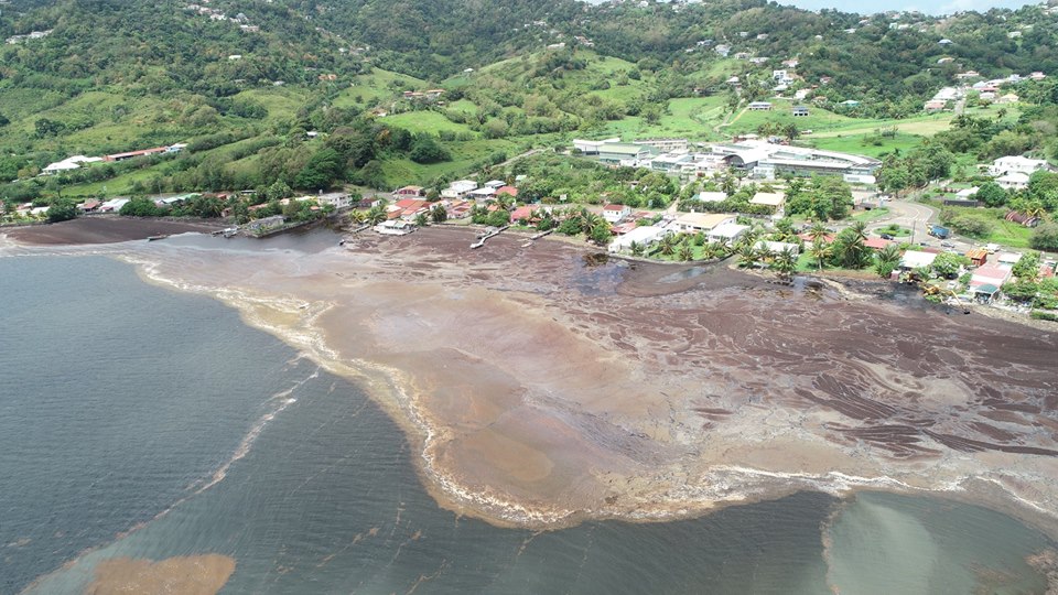 Sargasses aux Antilles: La Ville du Robert installe un barrage flottant anti-sargasses