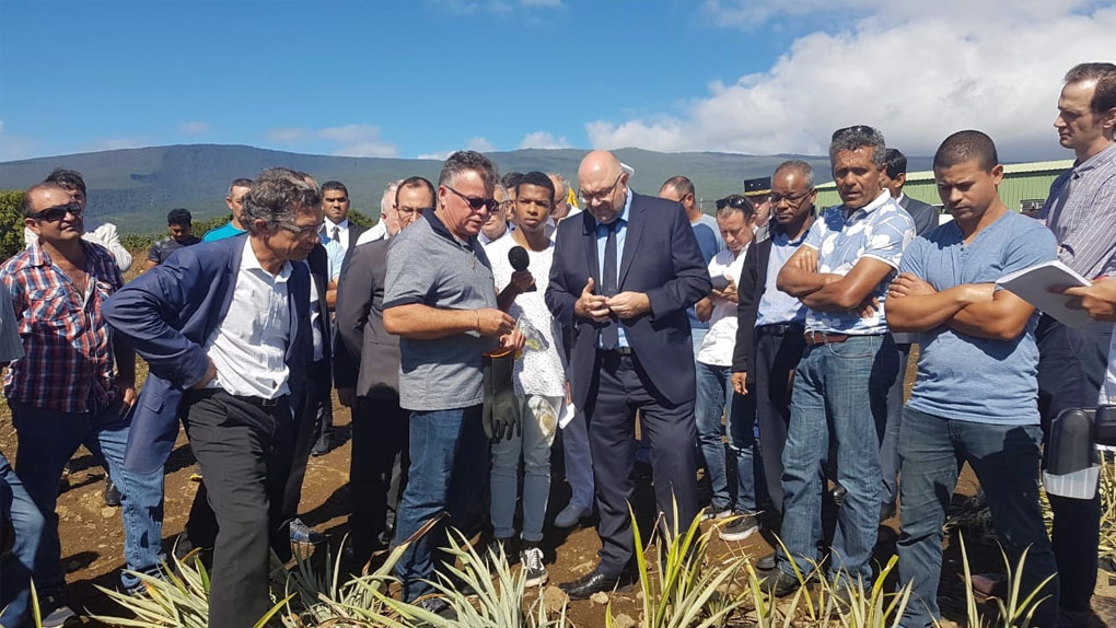 Stéphane Travert à La Réunion : Le ministre de l’Agriculture entre aides européennes, aides de l’État et avenir de la filière canne