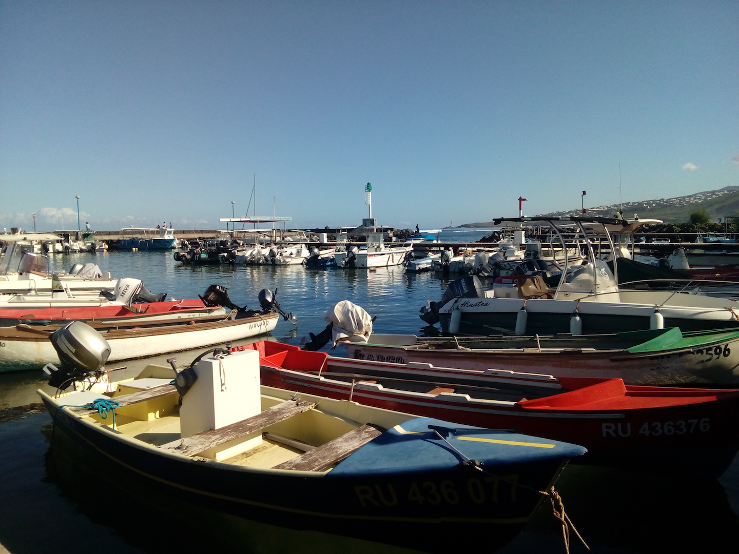 Pêche et aquaculture à La Réunion : L’ARIPA verse 1,4 million d’euros d’aides européennes aux opérateurs locaux