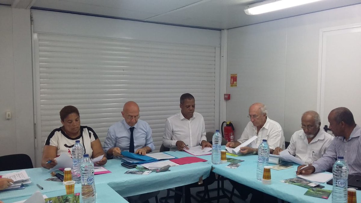 Biodiversité en Guadeloupe : Un comité d&rsquo;orientation pour réintroduire le lamantin