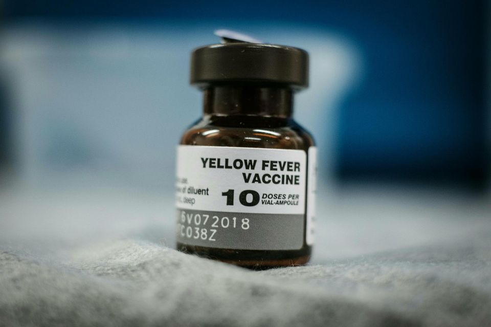 Un homme hospitalisé en urgence à Paris pour fièvre jaune en Guyane