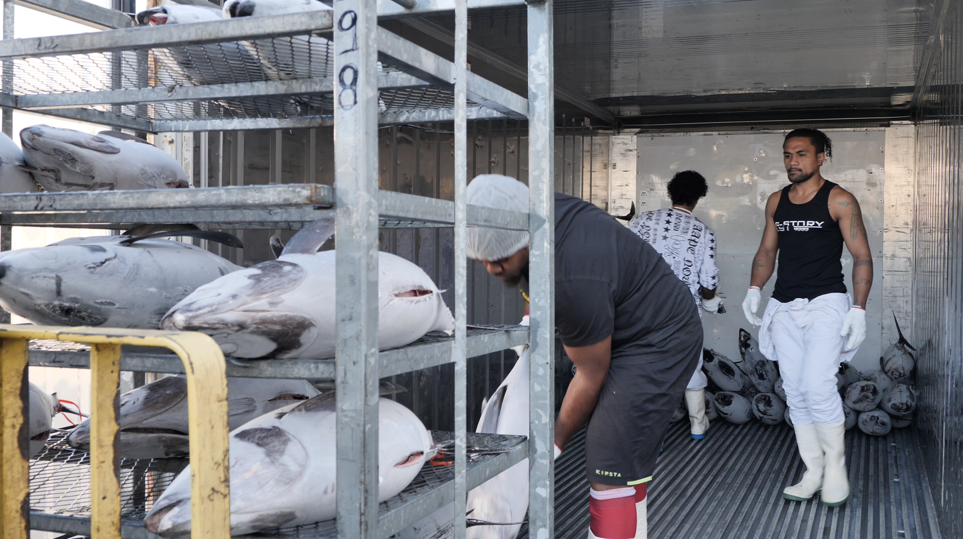 Economie en Nouvelle-Calédonie: Le thon germon séduit le marché hexagonal
