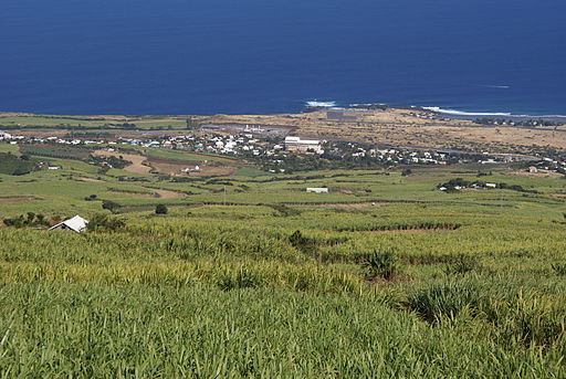 Agriculture à La Réunion: Un groupement d&rsquo;intérêt public créé pour protéger les terres réunionnaises