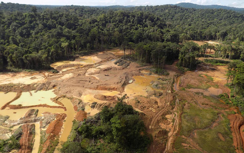 Guyane : Une nouvelle étude du WWF plombe le projet Montagne d&rsquo;or