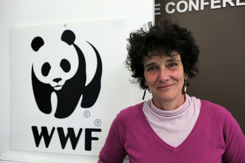 Montagne D&rsquo;or en Guyane: La Présidente de WWF France Isabelle Autissier appelle à un renoncement du projet minier