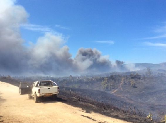 Nouvelle-Calédonie: 730 hectares brûlés en quelques heures à Ouégoa